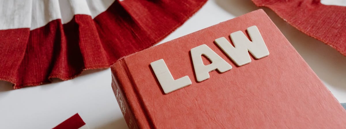 Прокуроры 18 штатов оспаривают указ Трампа об ограничениях на получение гражданства