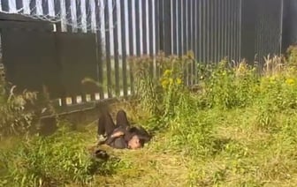 Белорусские пограничники заявили о ещё одном избитом мигранте