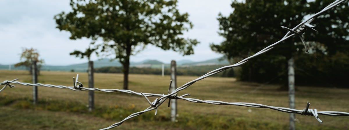 Литва столкнулась с волной краж кабелей на станциях зарядки электромобилей