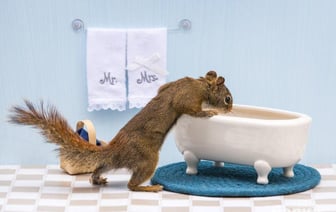 Когда в Гомеле будут отключать горячую воду в этом году