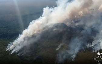 Порядка 70 гектаров. На Полесье произошел крупный лесной пожар — Видео