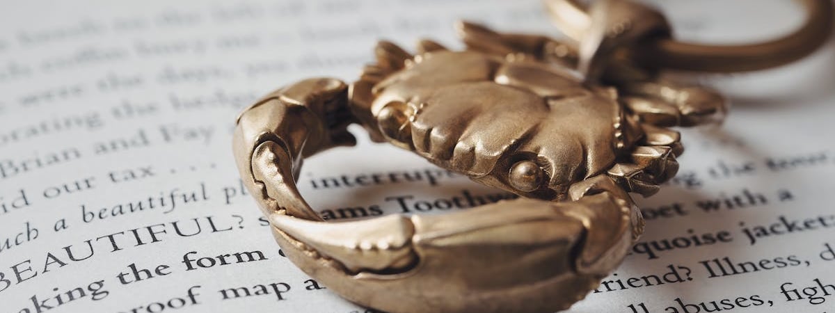 Силовики задержали предпринимателя, который задонатил 10 долларов Nexta