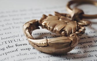 Силовики задержали предпринимателя, который задонатил 10 долларов Nexta