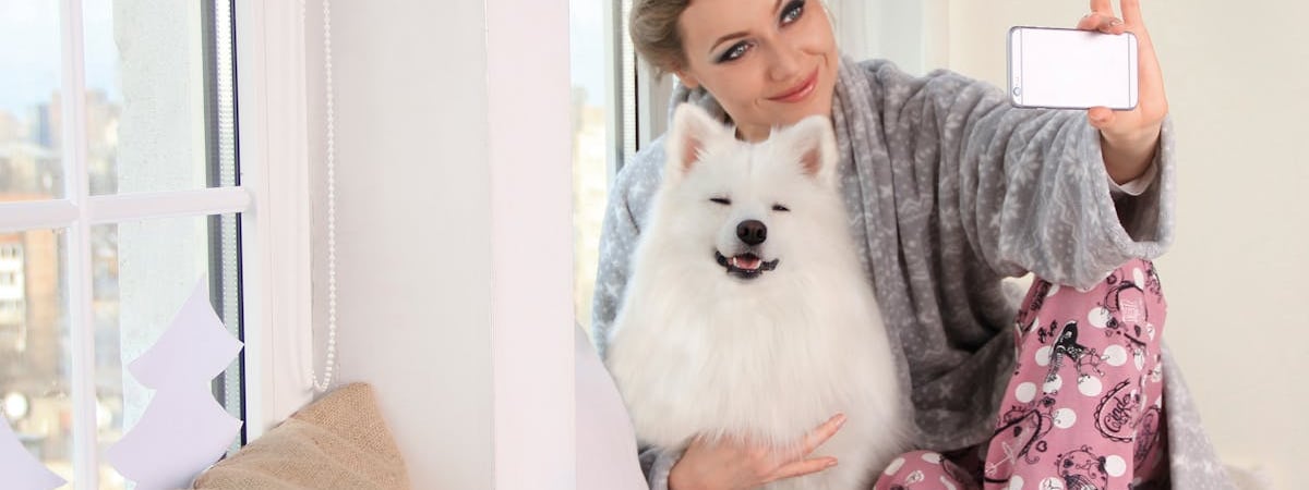 Рано утром 13 ноября РФ атаковала Киев ракетами