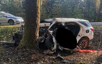Страшная авария: машина столкнулась с деревом и загорелась. Водитель из Бреста погиб