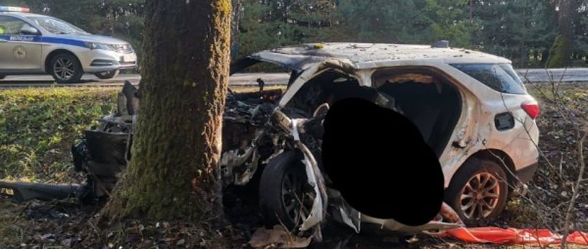 Страшная авария: машина столкнулась с деревом и загорелась. Водитель из Бреста погиб