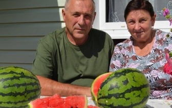 Не хуже астраханских. Семейная пара из Крупского района рассказала секрет идеальных арбузов