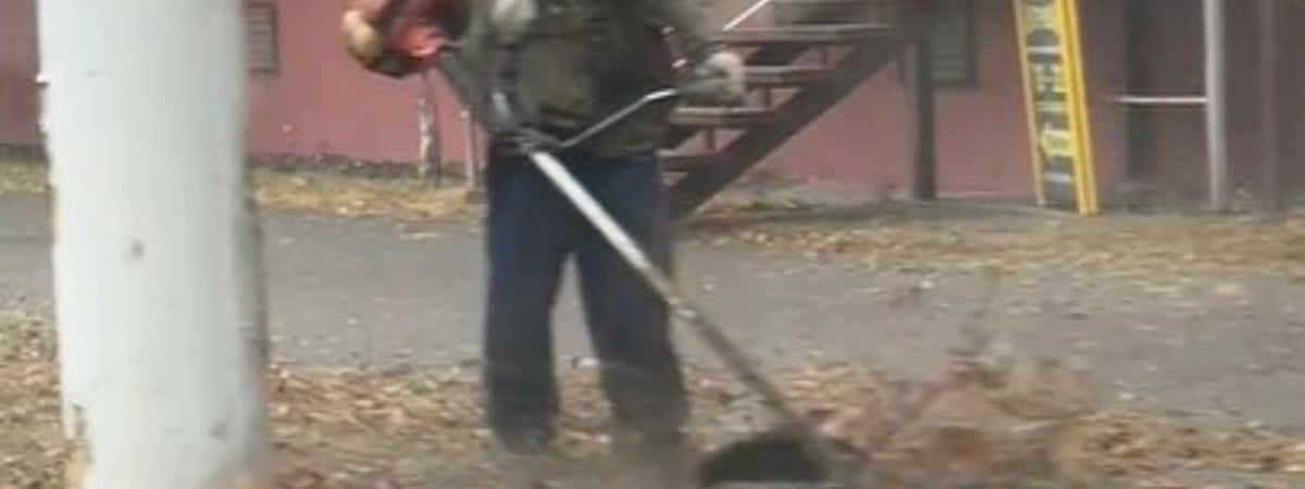 «Чтобы снег ровно лег» — В Гомеле показали покос осенней листвы — Видео