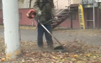 «Чтобы снег ровно лег» — В Гомеле показали покос осенней листвы — Видео
