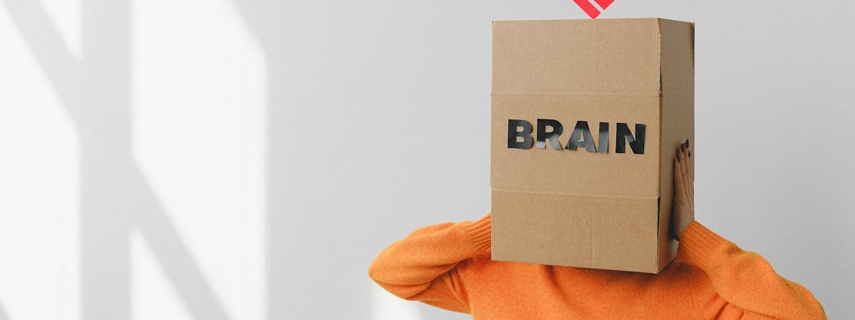 Последствия отъезда судьи Шмидта в Беларусь