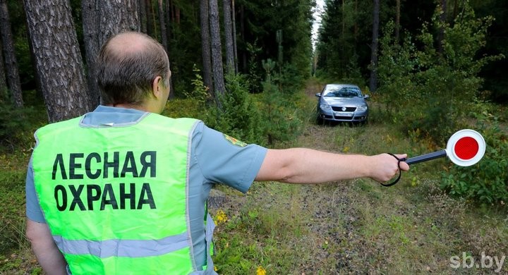 Фото из открытых источников (иллюстративное)