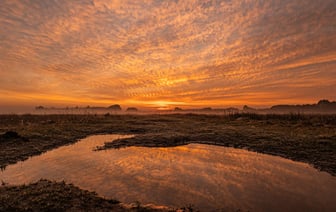 А1 подводит итоги «Эко Движ 2.0»: более 16 тысяч мобильных устройств будут переданы на переработку – многие из них собраны в Витебске