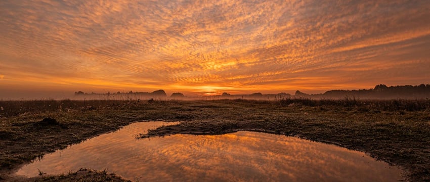 А1 подводит итоги «Эко Движ 2.0»: более 16 тысяч мобильных устройств будут переданы на переработку – многие из них собраны в Витебске