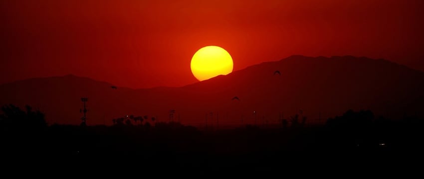 21 июля стал самым жарким днем в мире за всю историю наблюдений: отчет