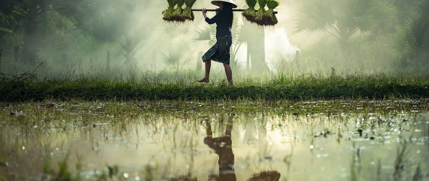 С 1 февраля увеличиваются размеры пособия по уходу за ребенком до 3 лет