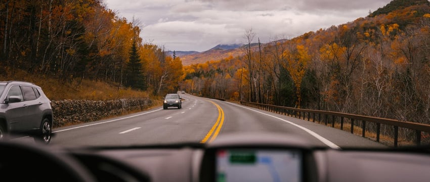 Запрет на посещение лесов в Полоцком районе