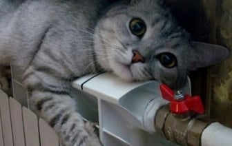 Отопительный сезон в Бресте завершается 5 апреля