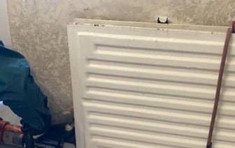 В Березе спасатели вызволили кошку из батареи
