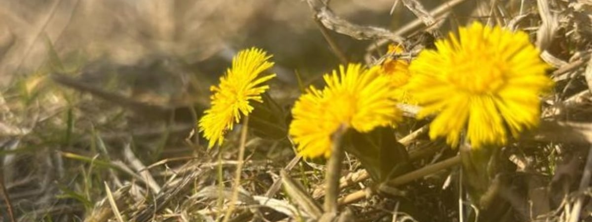 Аномальное тепло заканчивается. Прогноз погоды на 10–16 марта