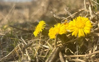 Аномальное тепло заканчивается. Прогноз погоды на 10–16 марта