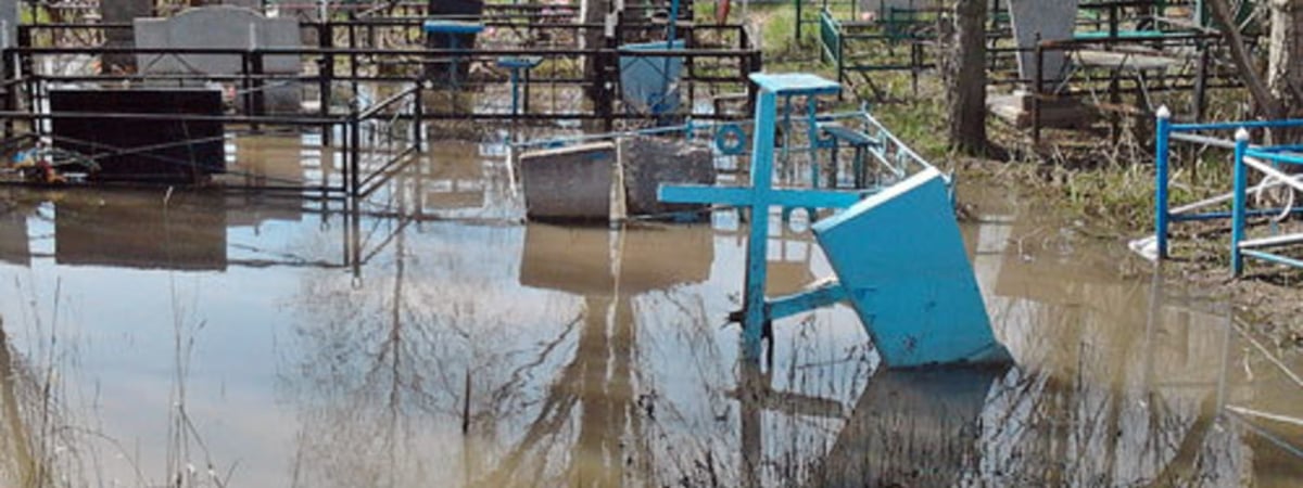 «В фильме ужасов не увидишь этого». Ролик с нового кладбища в Барановичах, «утонувшего» после дождей, взорвал TikTok