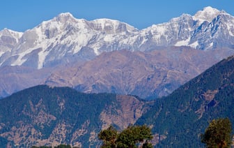 Жителей Полоцкого района просят присоединиться к акции по восстановлению поврежденного после бури леса