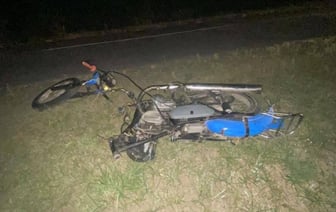 В Дрогичинском районе 17-летний мотоциклист сбил собаку