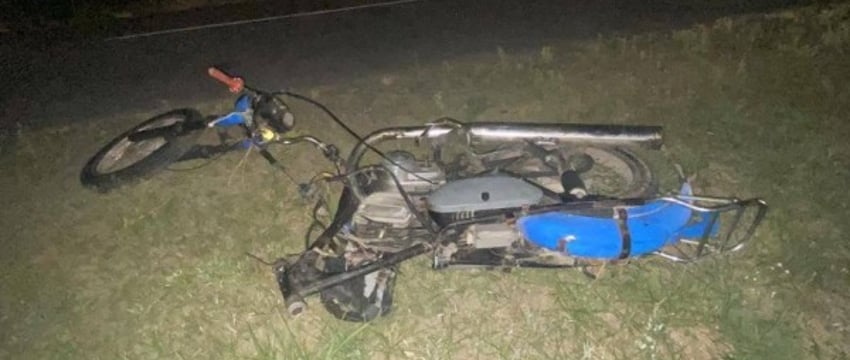 В Дрогичинском районе 17-летний мотоциклист сбил собаку