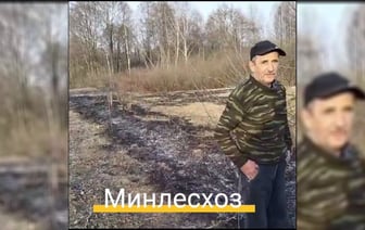 «Учитесь на моих ошибках» — Житель Брестчины рассказал, как устроил пал травы и чуть не поджёг лес — Видео