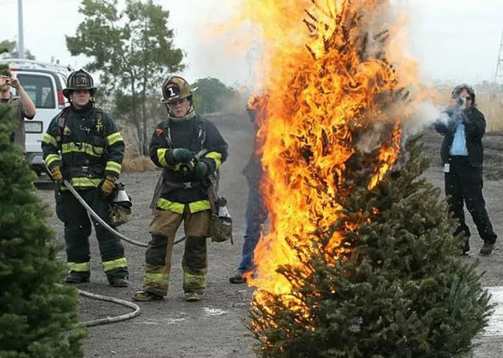 Это фиаско: истории брестчан, которые испортили праздник Нового года