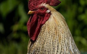 Рост ВВП Беларуси в январе-феврале 2025 года замедлился до 3,1%