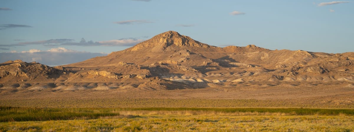 Nvidia обошла по капитализации Microsoft