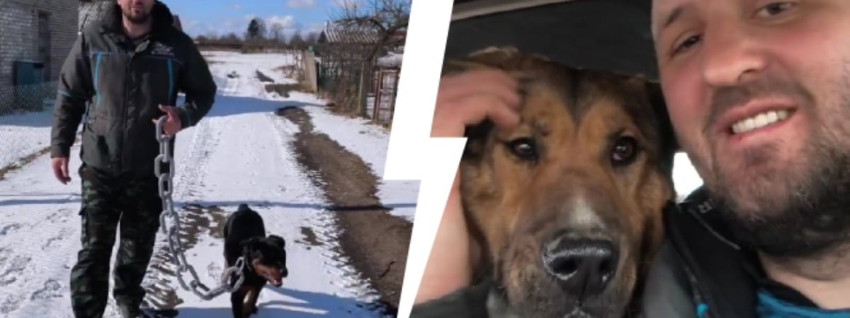 «Просто приходите, гуляйте с ними» — Поговорили с кинологом Буркевичем о центре для «трудных» животных под Молодечно, хейтерах и помощи белорусов — Видео