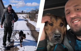 «Просто приходите, гуляйте с ними» — Поговорили с кинологом Буркевичем о центре для «трудных» животных под Молодечно, хейтерах и помощи белорусов — Видео