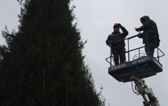 В Гродно на площади Ленина устанавливают елку