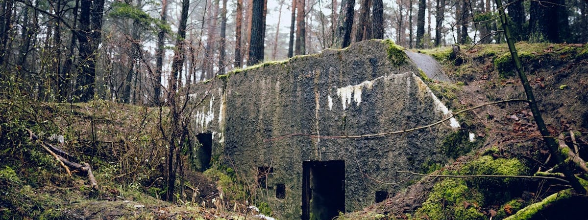 Польша будет использовать спутник Airbus для военных нужд