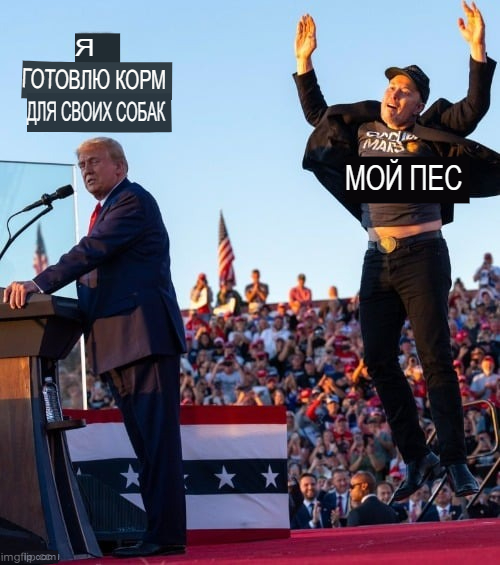 Илон Маск стал мемом после прыжков на митинге Трампа