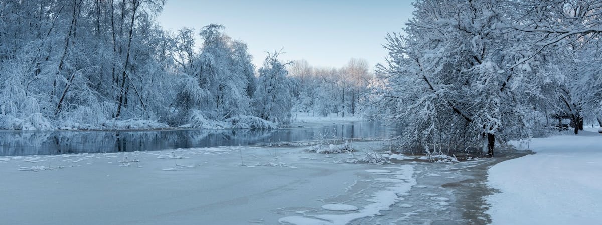 Дефицит кадров в Украине привел к дальнейшему росту зарплат – НБУ