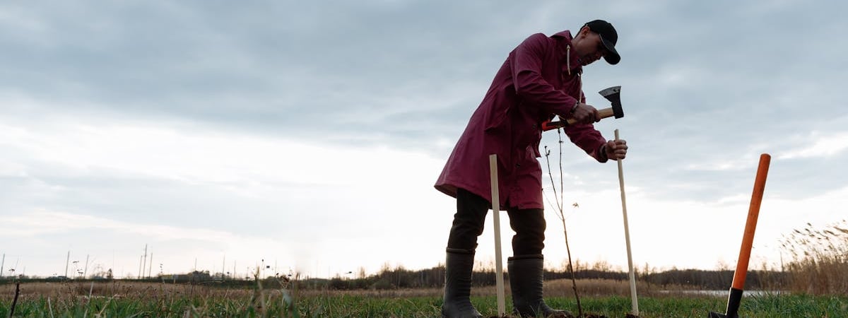 Как высушить сливы на зиму? Нашли способ, после которого вы перестанете покупать чернослив в магазине — Полезно