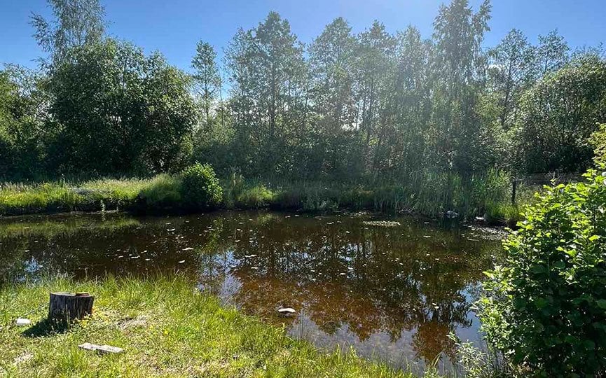 Молодой мужчина утонул в пруду на территории частного дома в Брестской области
