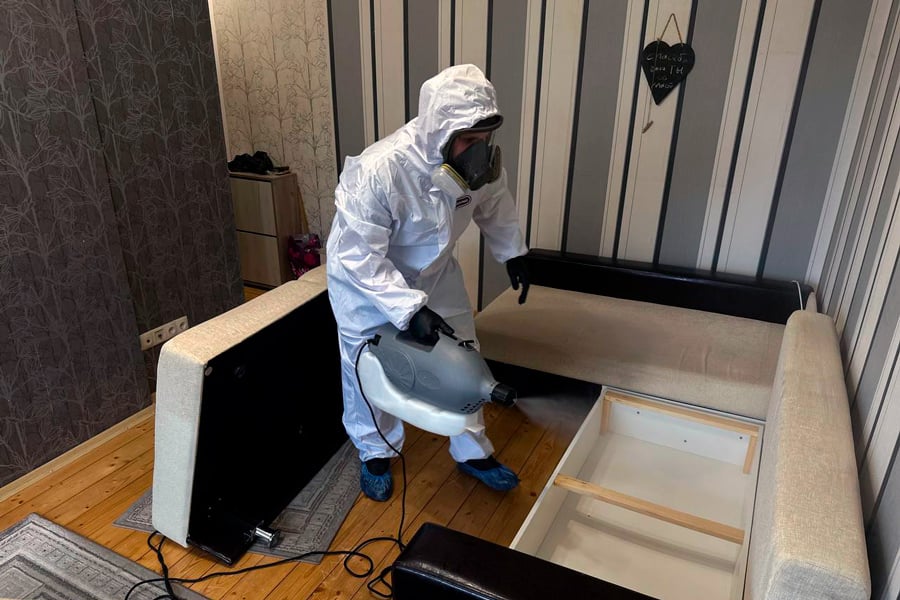 Охотники за тараканами: белорус рассказал, как ведет бизнес по дезинсекции