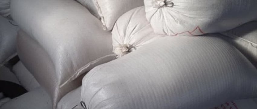 У сельчан нашли в мешках более 1300 кг краденного зерна. Случай в Брестской области