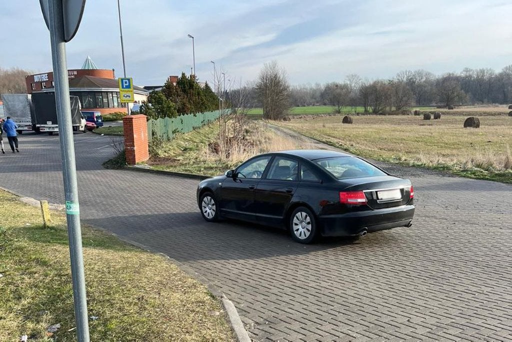 На польской границе водитель Audi пытался вклиниться в очередь и усадил человека на капот