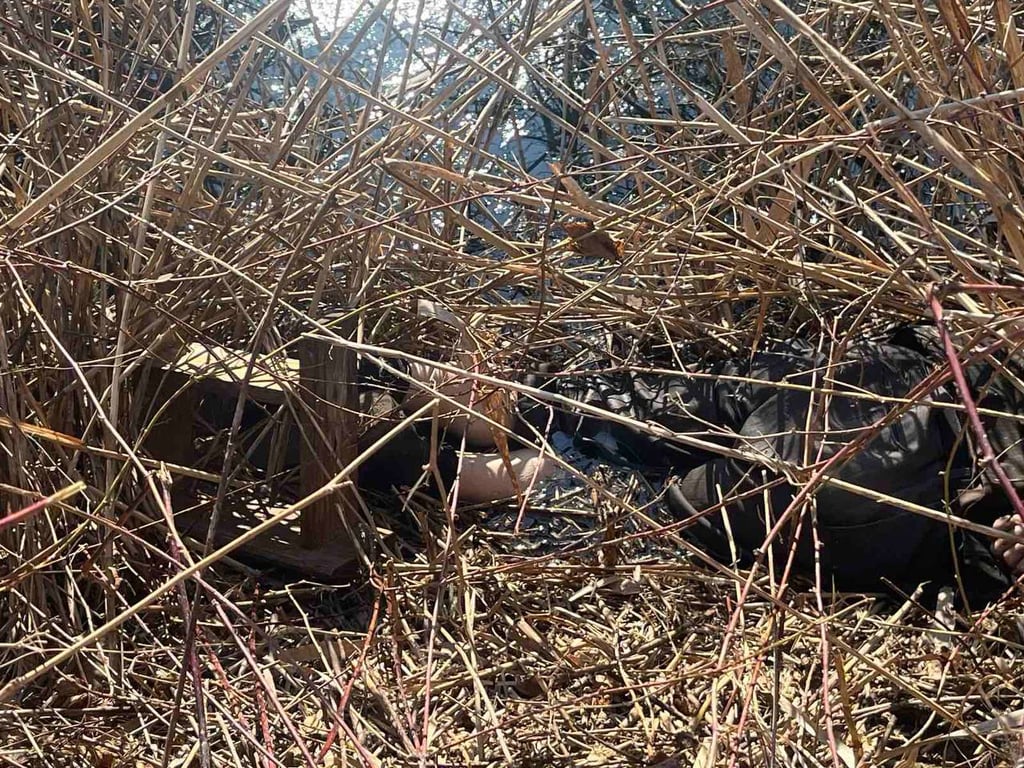 В Бресте в водоёме обнаружен труп мужчины