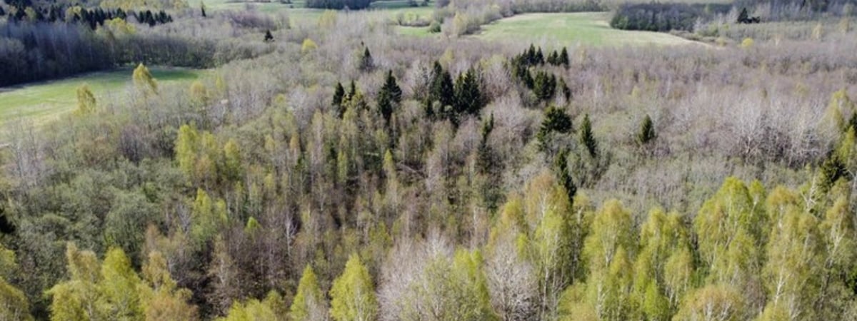 Весна не за горами. Какой будет неделя 24 февраля – 2 марта