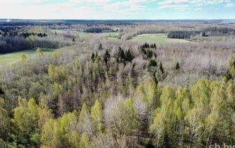 Весна не за горами. Какой будет неделя 24 февраля – 2 марта