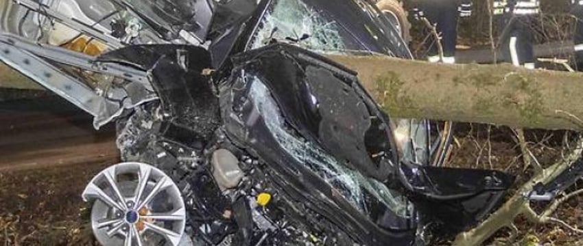 Австрийка чудом выжила за рулем компактвэна, который воткнулся в огромную ель