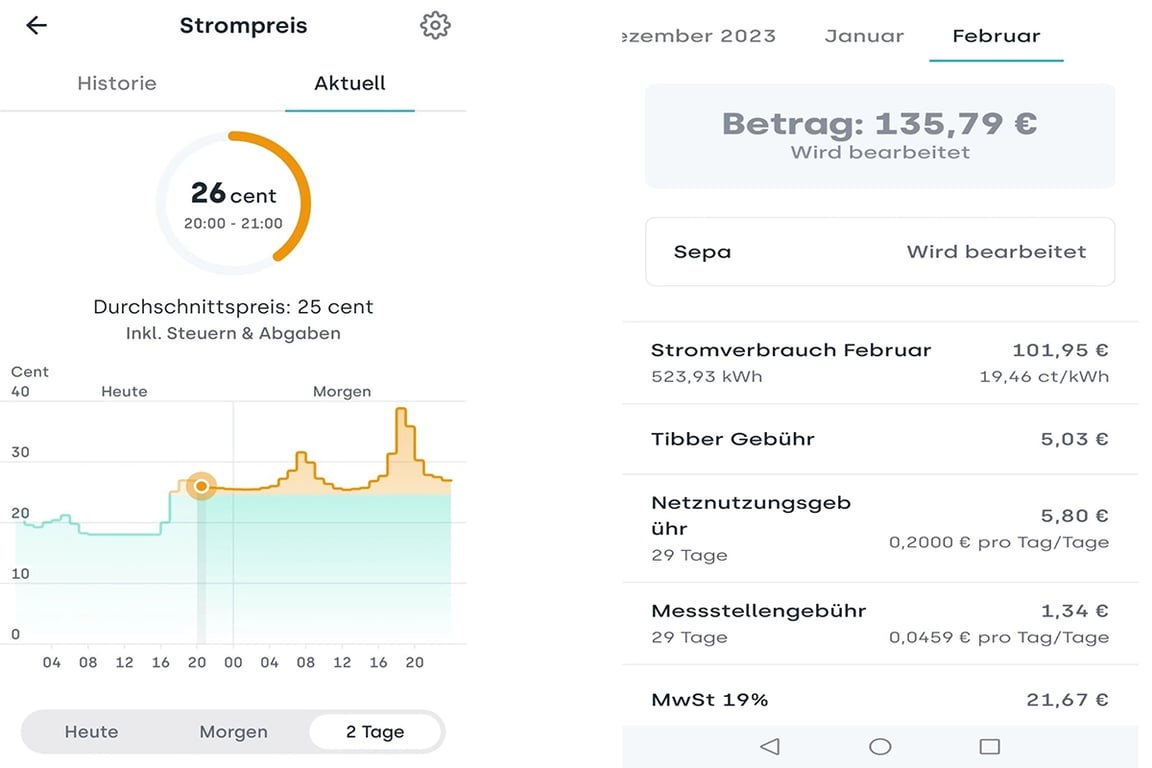 Жители Европы рассказали, во сколько обходится владение электромобилем