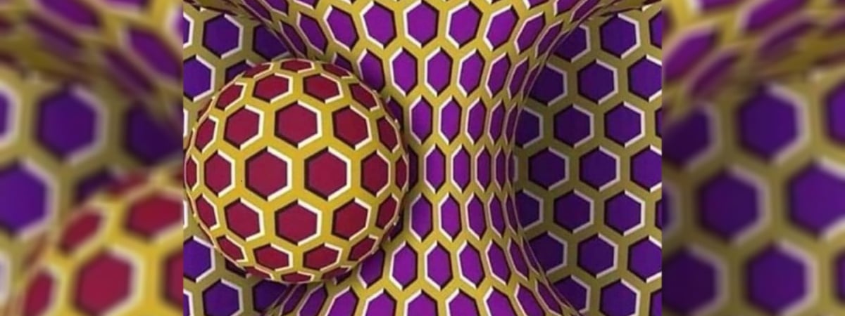 Этот тест на утомляемость нужно пройти всем белорусам. Двигается ли картинка? — Фото