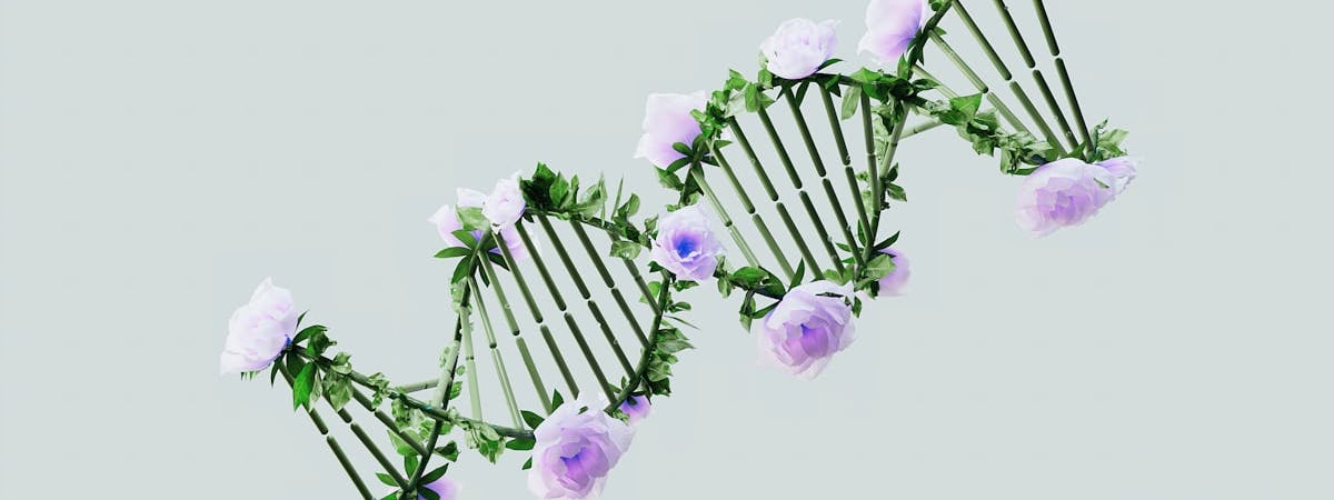 В России на смену популярного китайского кроссовера пришел белорусский Belgee X70